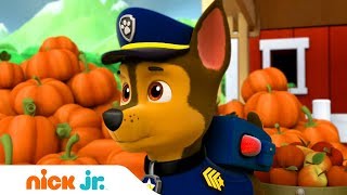 Щенячий патруль | Собрать весь урожай | Nick Jr. Россия