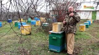 Инновационная рамка правда или вымысел. Новая рамка для пчел