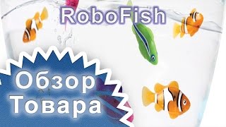 Обзор Роборыбки RoboFish