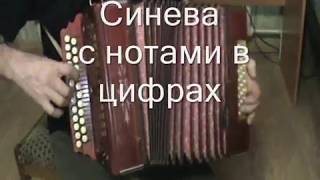 Синева с нотами в цифрах