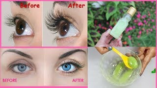 How to Grow Long, Thick Eyelashes and Eyebrows in Just 7 Days | Eyebrow and Eyelash Growth Serum