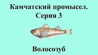 Русская Рыбалка 3.99 Камчатский промысел 3 - Волосозуб