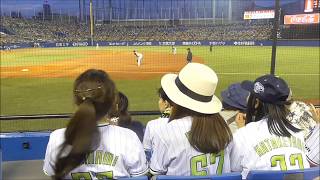 Baseball in Japan. Yukult Swallows ( 東京ヤクルトスワローズ ) V Hanshin Tigers ( 阪神タイガース )