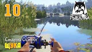 Русская Рыбалка 4 - Щука. Где и как поймать щуку на Старом Остроге?
