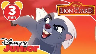The Lion Guard | DJ On Safari: Bunga | Disney Junior UK