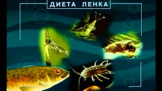 Диалоги о рыбалке -  158- Казахстан, зимняя ловля Ленка.