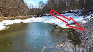 ОБНАРУЖИЛИ ТАМ ГДЕ НЕ ОЖИДАЛИ, ЧТО СКРЫВАЕТ РОССИЙСКИЙ ЛЕС?
