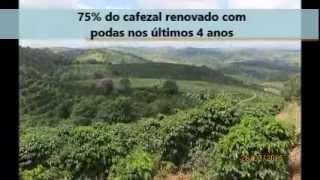 Fazenda Café à Venda Sul de Minas