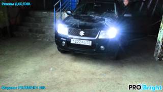 PROBRIGHT DRL в Suzuki Grand Vitara 3d