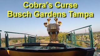 Cobra's Curse Roller Coaster On Ride POV Busch Gardens Tampa GoPro HD