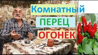 Видно ПОСЕВНОЙ СЕЗОН ещё не пришёл