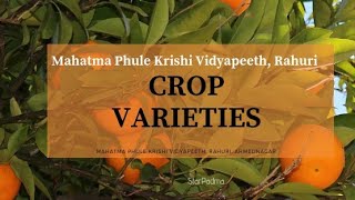 कृषि विद्यापीठ पीक वाण  Crop Varieties | Mahatma Phule Krishi Vidyapeeth (MPKV) Rahuri | STARPADMA