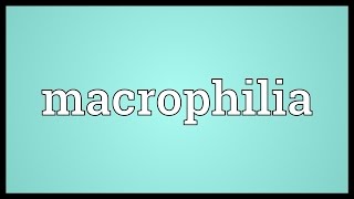 Macrophilia Meaning