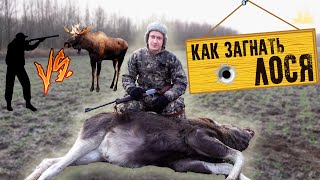 Загон на лося! (С НОВЫМ 2020 ГОДОМ)