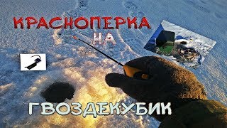 Зимняя ловля красноперки по первому льду на гвоздекубик. Красноперка на безмотылку.