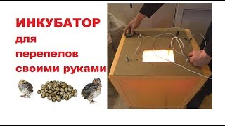 ИНКУБАТОР для перепелов своими руками
