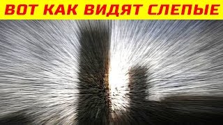 Вот Как Слепые Люди Видят Окружающий Мир