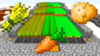 Semi-Automatic Wheat/Carrot/Potato Farm!