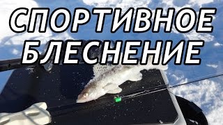 Теория на водоеме Спортивная Блесна. Учимся ловить..