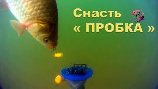 На Озере. Подводные съемки ловли на "Пробку". Рыбалка. Ловля на пробку. fishing. câu cá