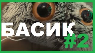 Кот Басик 2