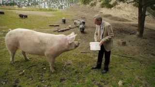 10 Jahre Tier-, Natur- und Jugendzentrum Weidefeld