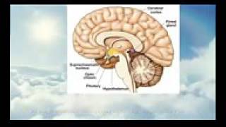 private Esoteric Knowledge of the christ within - YouTube