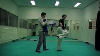 047-ushiro geri / back kick tutorial