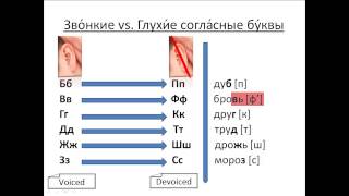 Бесплатный урок 15. Курсы русского как иностранного. Звонкие глухие согласные буквы