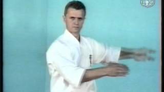 Техника КИОКУШИНКАЙ часть 13