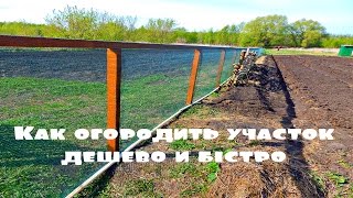 Как огородить участок дешево и быстро