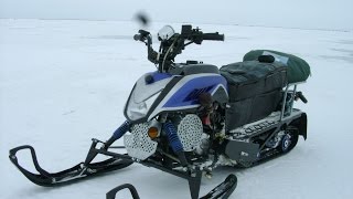 Снегоход Динго Т110.