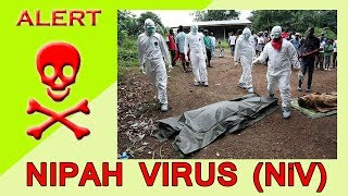 Nipah Virus Symptoms in hindi || What is nipah virus in hindi || Nipah virus || Henipavirus‬