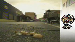 Jo'Burg Homicide - South Africa
