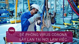 Đề phòng dịch Corona tại nơi làm việc | VTC Now