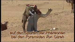 Abenteuer Ägypten, von Kairo nach Luxor, Besuch der Pyramiden von Gizeh