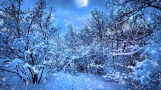 Футаж Снегопад в лесу Snowfall HD