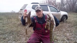 Рыбалка на налима ночью в Башкирии. Burbot.