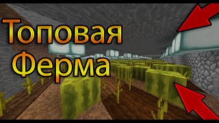 SunRise / Построил Самую Лучшую ферму / Розыгрышь доната на санрайс / Заработал много денег /