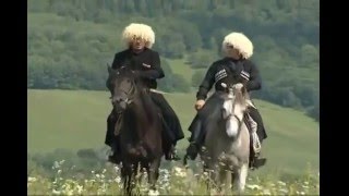 Черкесские султаны Египта