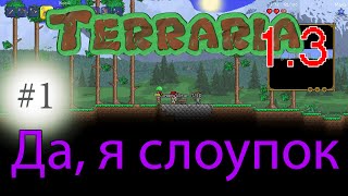 Terraria 1.3 - Да, я слоупок [1]