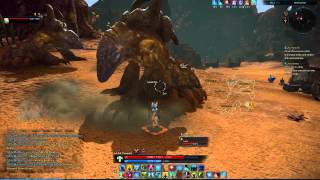 TERA Priest soloing a Brutal Orisk