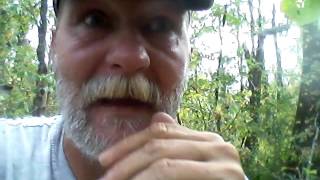 When to Hunt Fish Trap in a S H T F