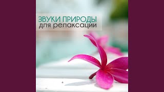 Музыка для массажа