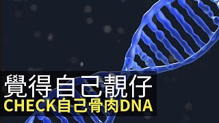 覺得自己靚仔 CHECK自己骨肉DNA 原來⋯⋯ (D100 上綱上線)