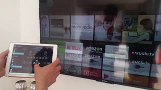 Sony IP control