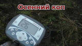 Поиск монет осенний коп с Minelab X-Terra 705 золото сезон 2020