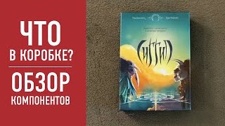 Настольная игра «СИГГИЛ»: распаковка, обзор компонентов // SIGGIL: board game unbox