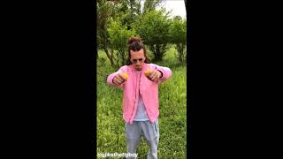 Blunt & Real DISS Gjiko