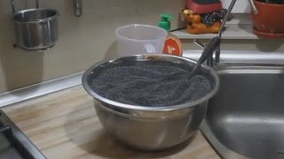 Журналисткое расследование: "Дело о маковом зёрнышке"